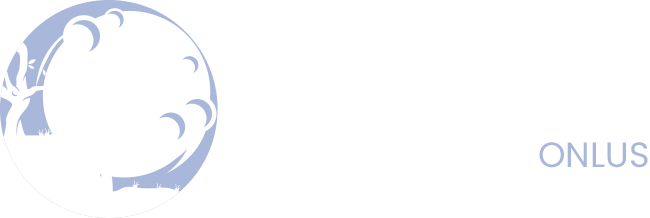 Il Laboratorio di Chiara Onlus