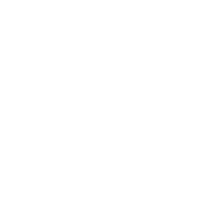 IBTA