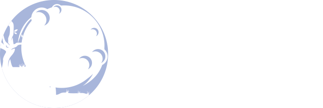 Il Laboratorio di Chiara